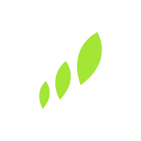 Cybergarden Software development