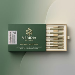 Joint Boxes 3