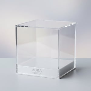 Acrylic Display Case 4
