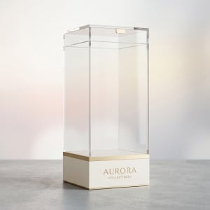 Acrylic Display Case 3