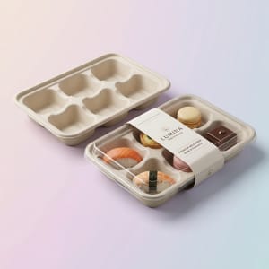 Custom Bagasse Tray 2