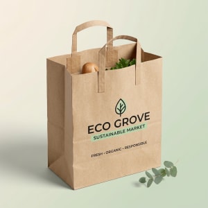 Loop Handle Paper Bags 4