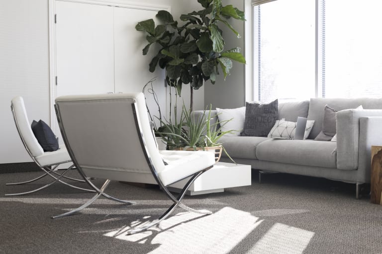 Design da Saúde: Como decorar clínicas e consultórios