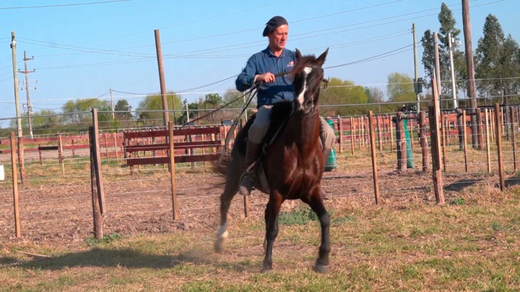 Este fin de semana criollistas del Norte Argentino mostrarán sus destrezas a caballo en Tucumán