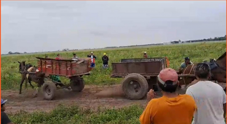 Qué es “La Chiguada”: Investigan la actividad que practican sobre caballos en barrio Alejandro Heredia