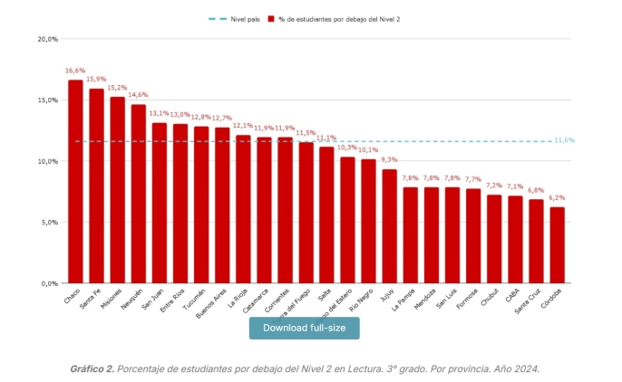 Uno de cada 10 chicos no sabe leer: Preocupante situación en estudiantes de Chaco, Santa Fe y Misiones 