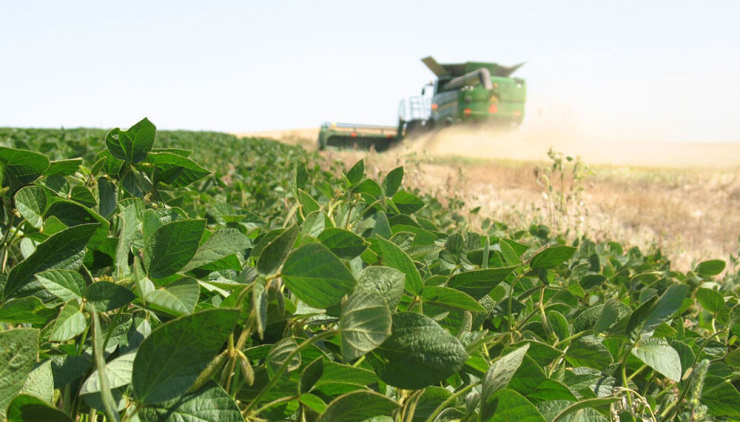 El agro argentino proyecta una cosecha récord y US$ 31.600 millones en exportaciones para 2025
