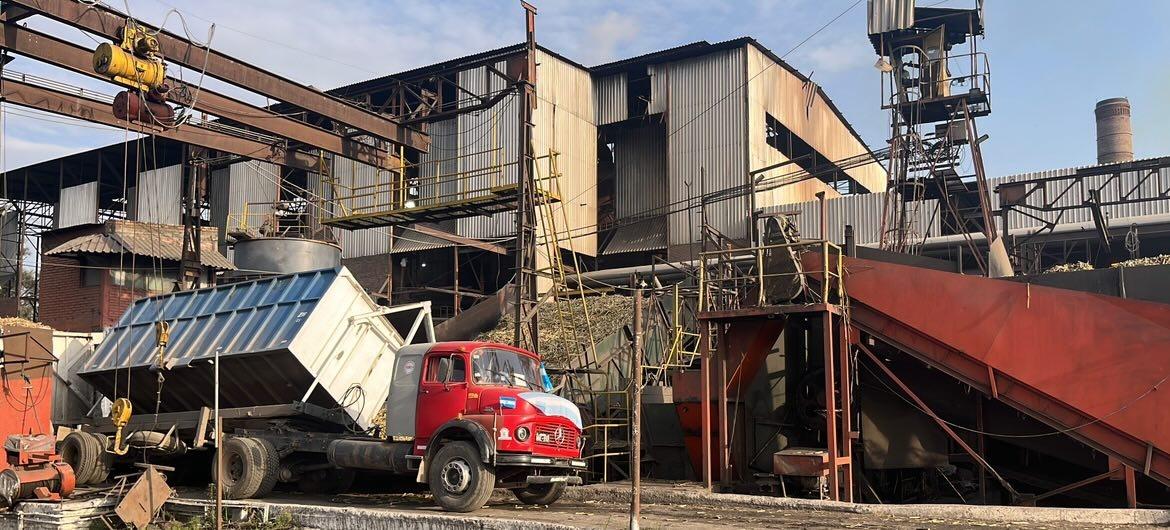 El Ingenio Santa Bárbara impulsa la zafra 2025 en Tucumán con el inicio de su molienda