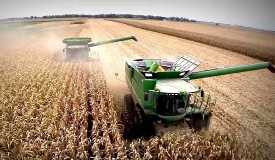 El agro espera un julio récord en liquidaciones, pero crecen las internas en la Sociedad Rural por las retenciones