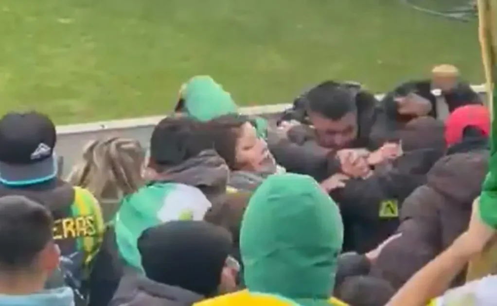 Graves incidentes entre facciones de la barra de Aldosivi: hubo cuchillazos en la tribuna