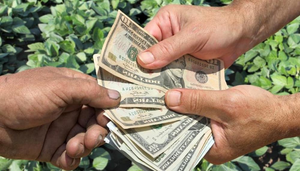 El 80% de los productores agropecuarios tomaron créditos en dólares y la mayoría a tasa cero