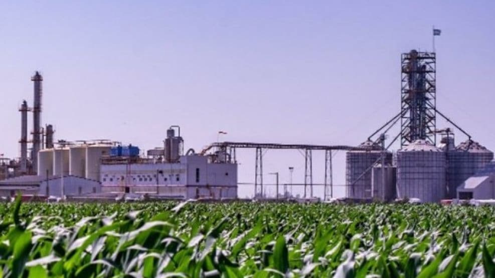 "Los biocombustibles vinieron para quedarse, la gran discusión ahora es quién lo produce"