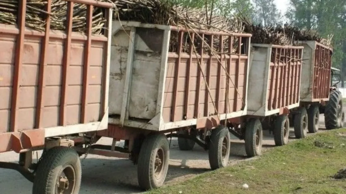 Buscan unificar la normativa del transporte de caña para garantizar seguridad y claridad legal