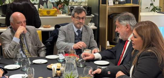 Tras ordenar la macroeconomía, la Nación debe resolver "el costo argentino", dijo Rappallini