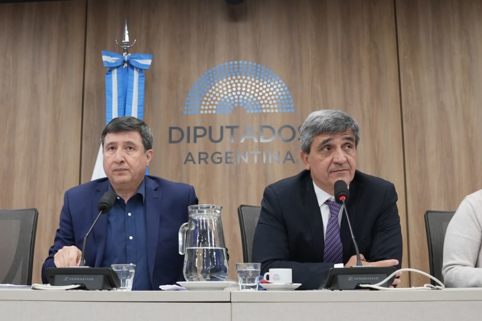 Presuntas coimas en Discapacidad: El diputado Yedlin cuestionó el faltazo de Lugones