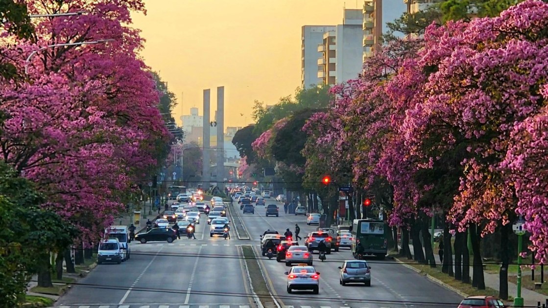 Semana soleada en Tucumán: el SMN anticipa temperaturas en ascenso