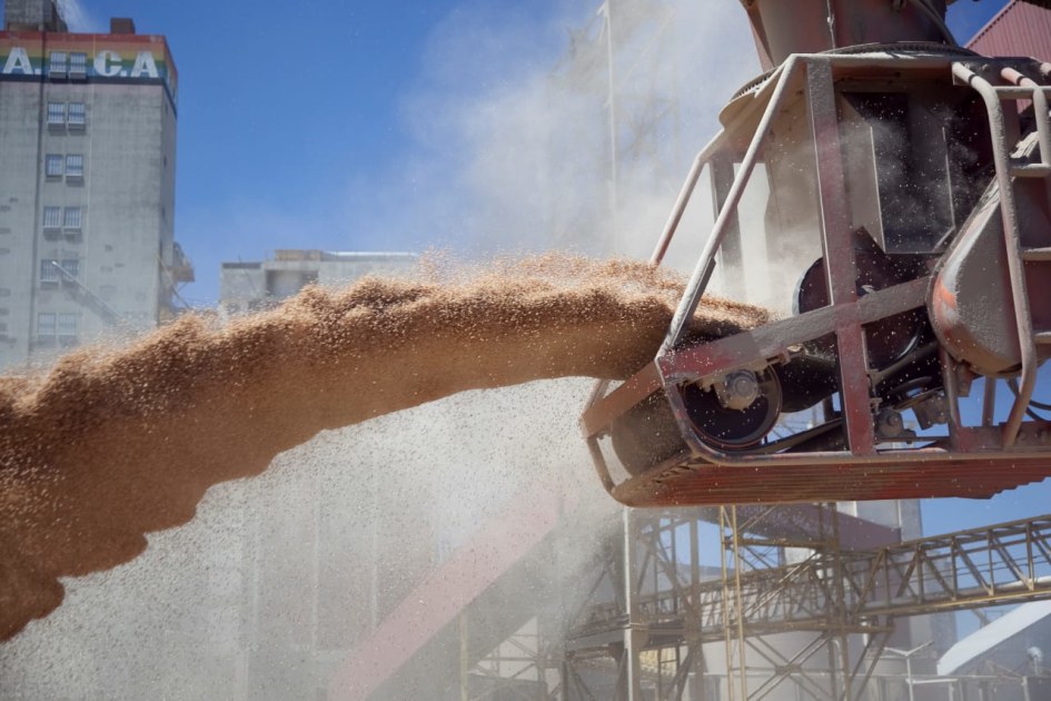 Récord histórico de exportaciones agroindustriales en los primeros ocho meses del año | Tendencia de Noticias