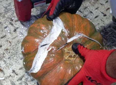 Capturaron en Salta a un prófugo vinculado al cargamento de cocaína en zapallos