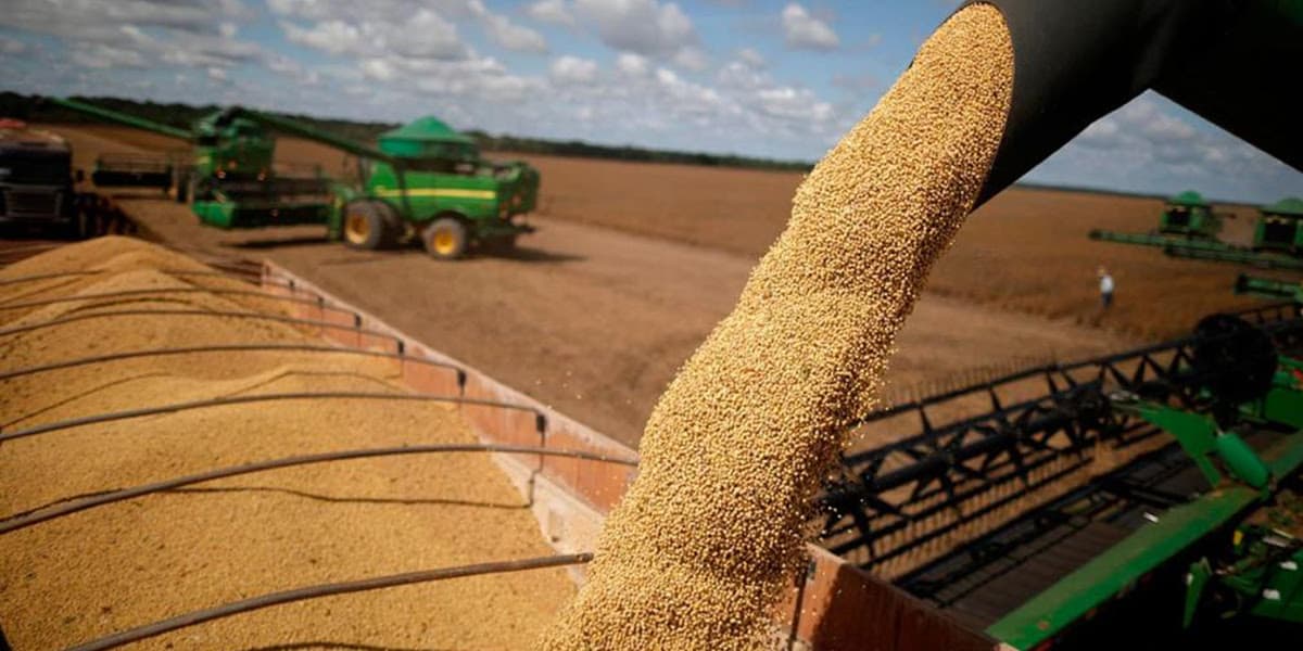 Reducción de retenciones: "Intromisión inadmisible de EE.UU." que generó "ganancias extraordinarias" a cerealeras