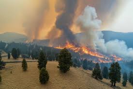 Incendios forestales destruyeron más del 30 % del Parque Nacional Etosha en Namibia