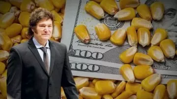 El Gobierno gastó casi US$1.000 millones del agro para frenar el dólar antes de las elecciones