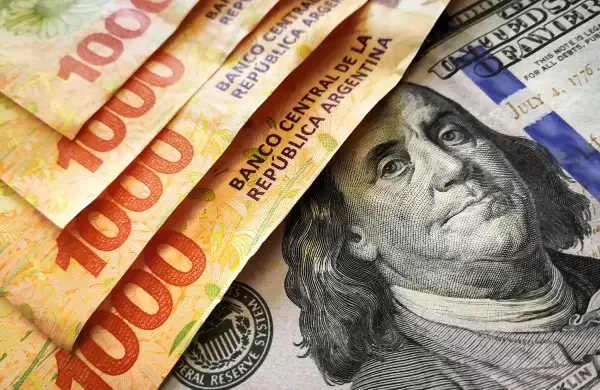 Claves para un bimonetarismo ordenado en Argentina: confianza, flexibilidad y reformas estructurales