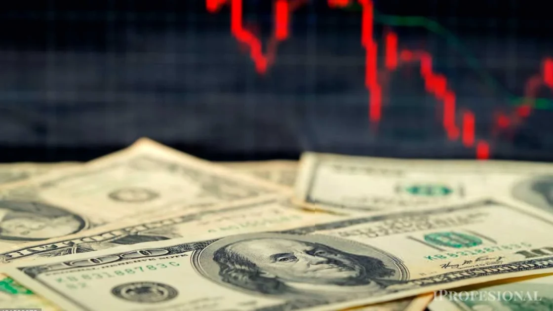 Finanzas convocó a una nueva licitación de bonos y letras en pesos y dólares