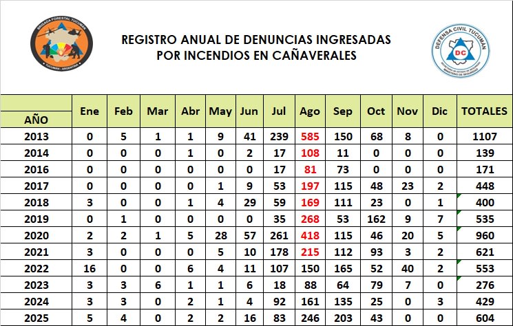 cañaverales.jpg