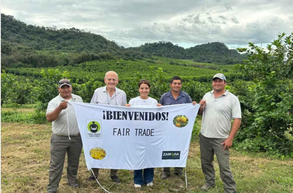 Captura de pantalla 2025-10-22 105355.png Captura de pantalla 2025-10-22 105355.png