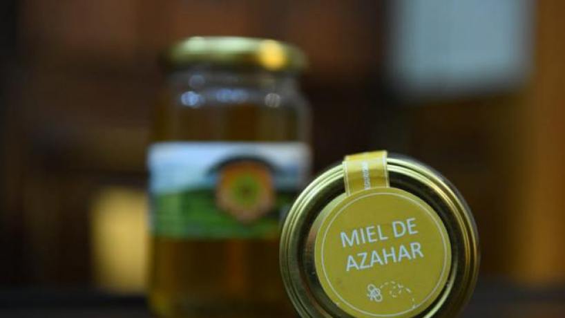 Tucumán, epicentro apícola: un encuentro para impulsar la miel y la sostenibilidad del norte argentino 