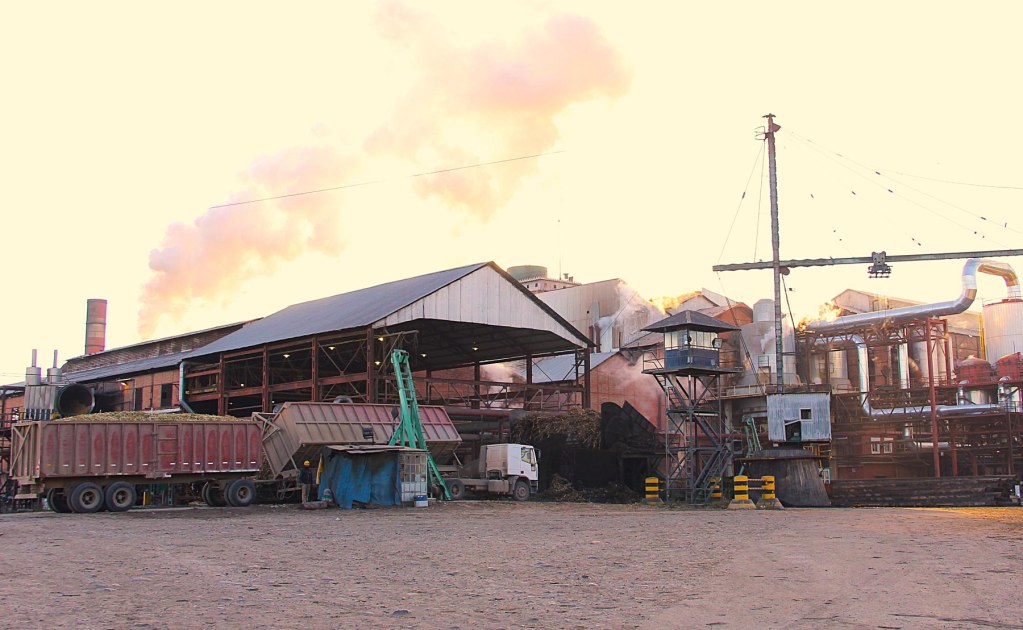 A días de finalizar la zafra, Tucumán aportó más del 71% de la caña molida a nivel país