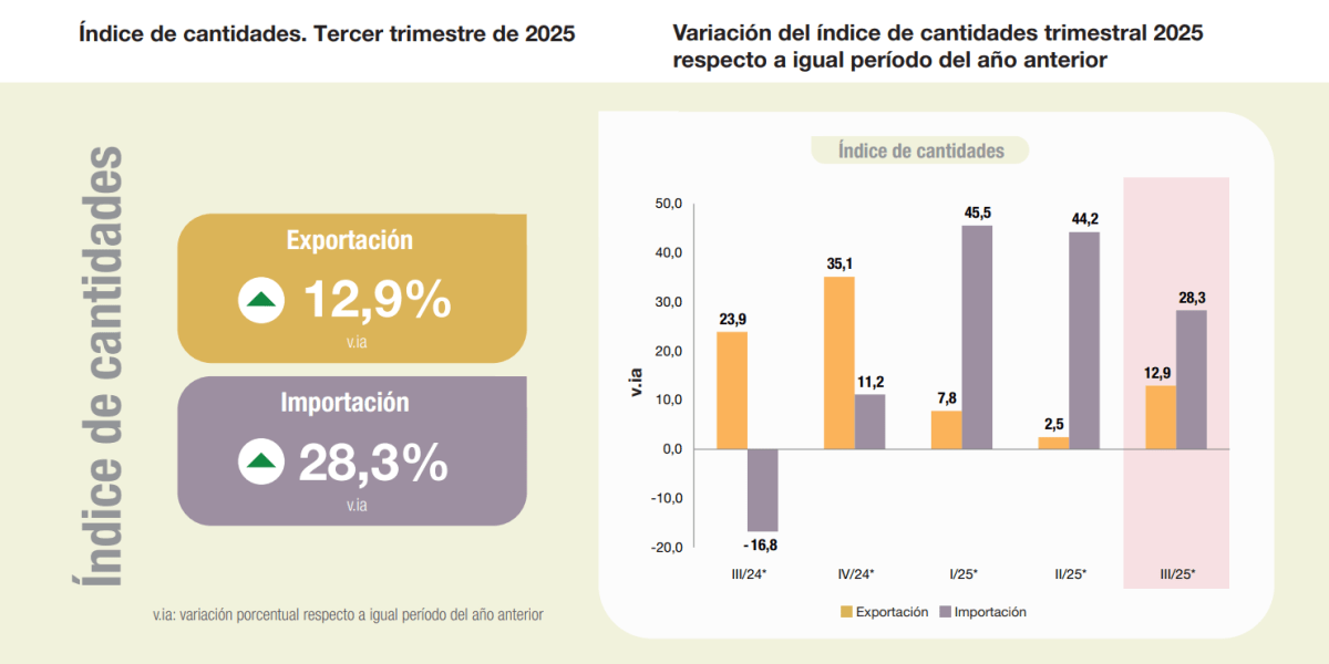 Captura de pantalla 2025-11-04 224527.png