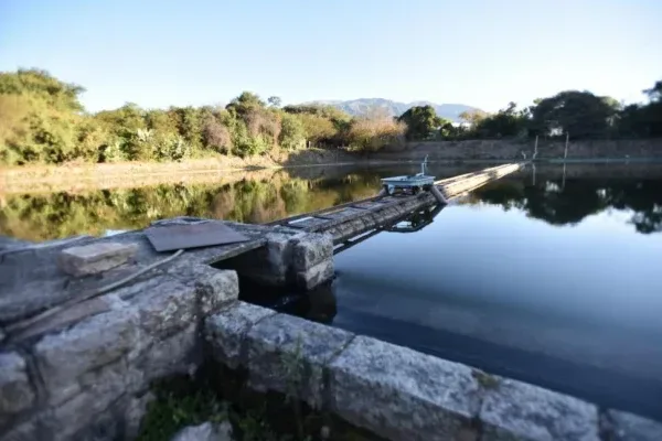 acuedcuto vipos legisaltura.webp