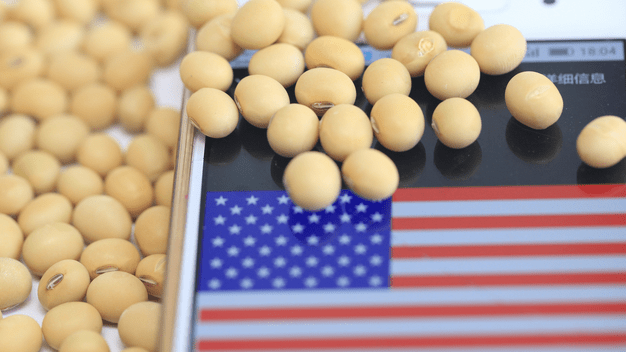 SojaEEUU-626x352.png SojaEEUU-626x352.png