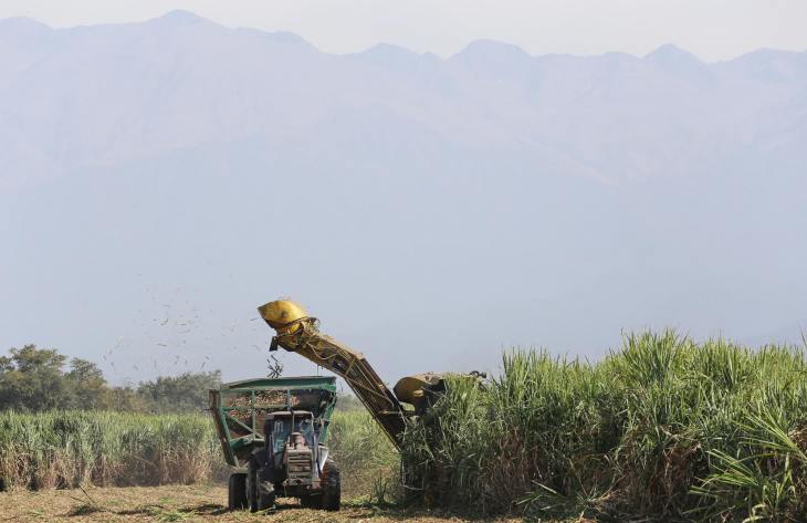 Tucumán alcanzó un récord histórico de molienda y consolida su liderazgo en la zafra azucarera argentina