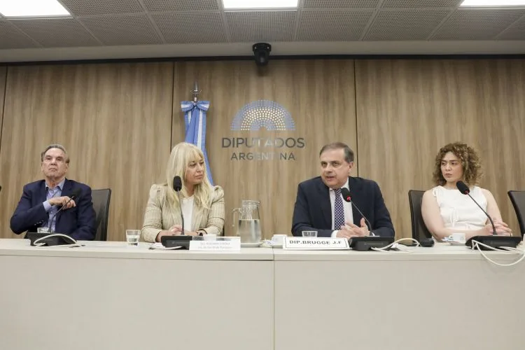 Chahla exigió más recursos para afrontar las necesidades vecinales al exponer en Diputados