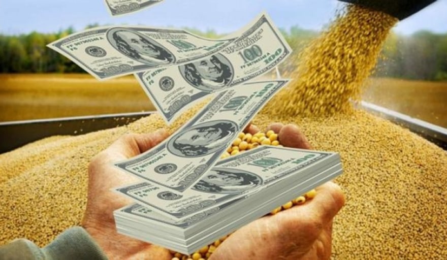 exportaciones divisas campo.jpg