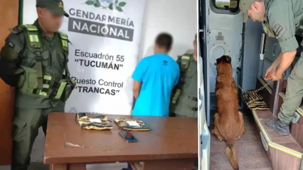 Trancas: otro hallazgo de cocaína en un control de Gendarmería sobre la Ruta 9