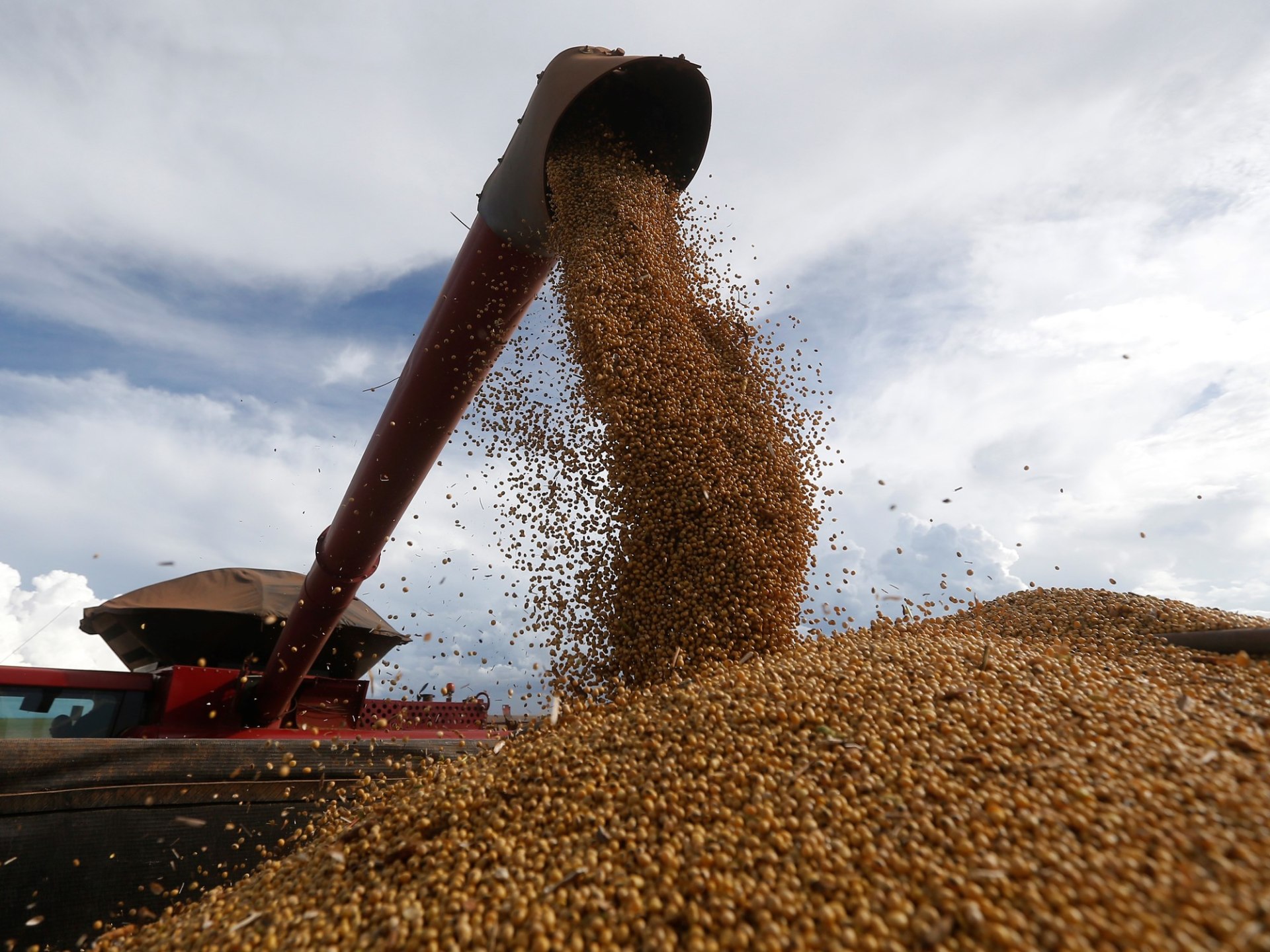 El gobierno anuncia una reducción permanente de las retenciones a la soja, el trigo y el maíz