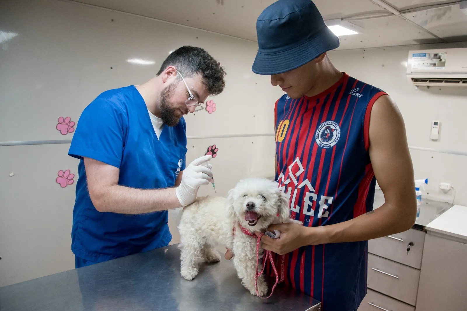 Castraciones gratuitas: el quirófano móvil atenderá en barrio Juan B. Terán