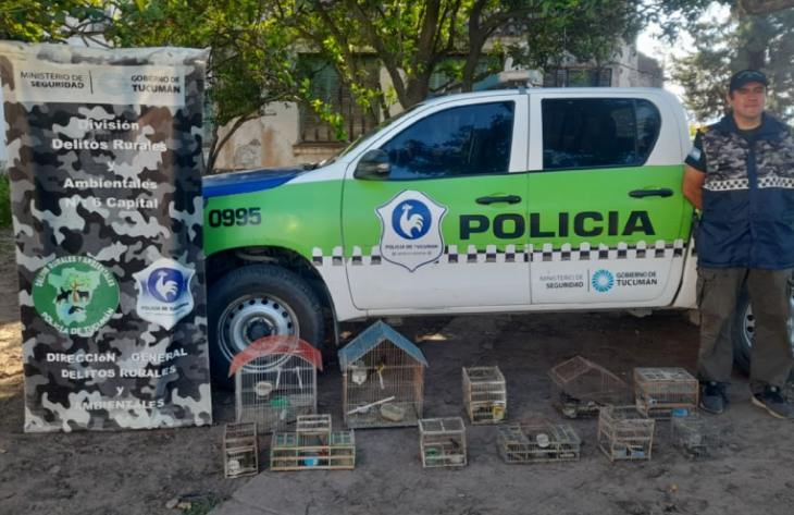 Rescatan aves silvestres cautivas durante un operativo en Tafí Viejo