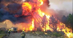 Incendios forestales en la Argentina: uno sigue activo, tres están contenidos y uno fue controlado