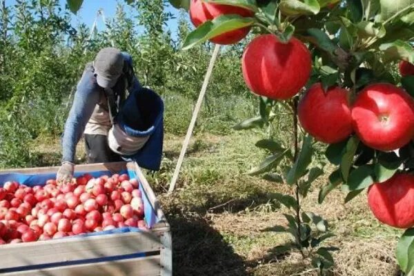 493952523_1227055916096635_580892707919678194_n.jpg 493952523_1227055916096635_580892707919678194_n.jpg