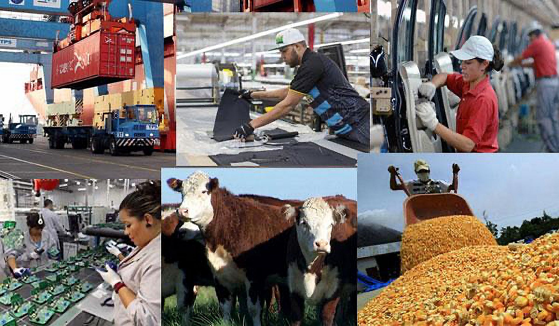 El PBI creció 3,3% interanual, pero la desaceleración trimestral enciende alertas sobre el ritmo de recuperación económica