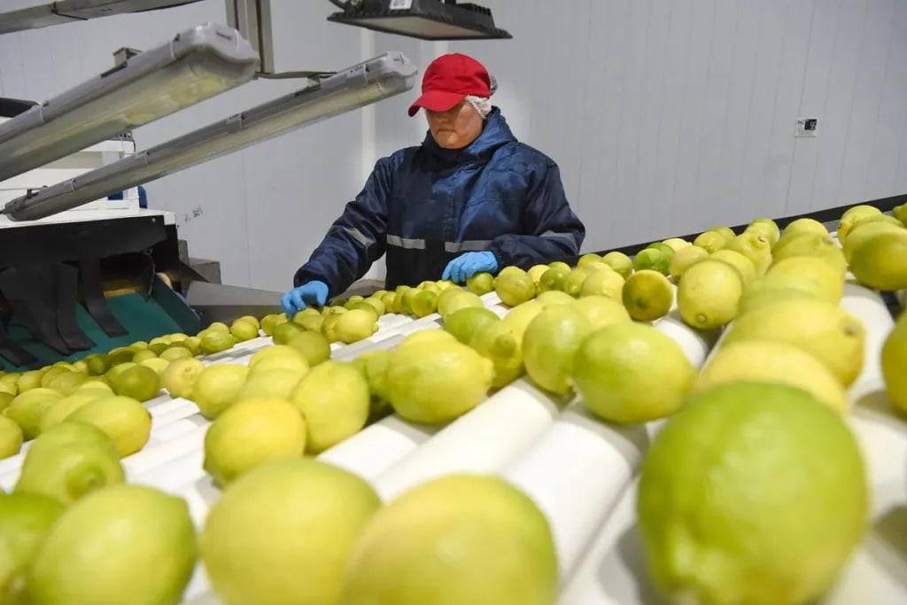 Tucumán es la segunda de cuatro provincias que recuperó empleo formal desde la asunción de Milei