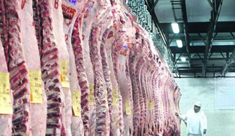 Brasil será el mayor productor mundial de carne bovina en 2025, según el USDA