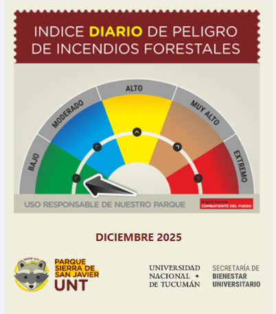 Captura de pantalla 2025-12-17 163503.png