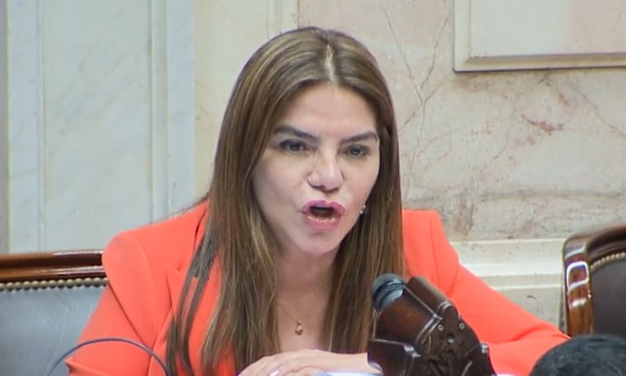 "Vamos a acompañar el Presupuesto porque tenemos como prioridad escuchar la voluntad popular", señaló la jaldista Gladys Medina