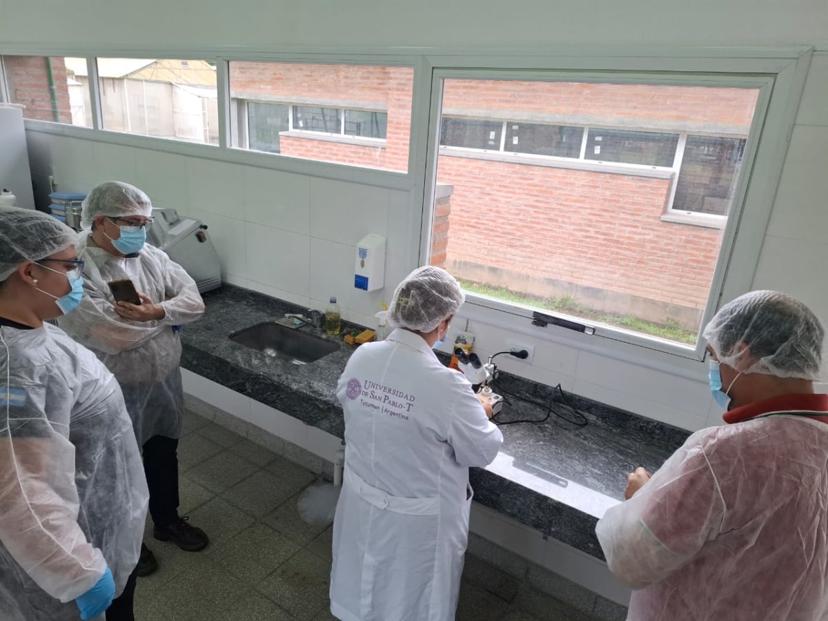 WhatsApp Image 2025-12-17 at 15.57.58.jpeg