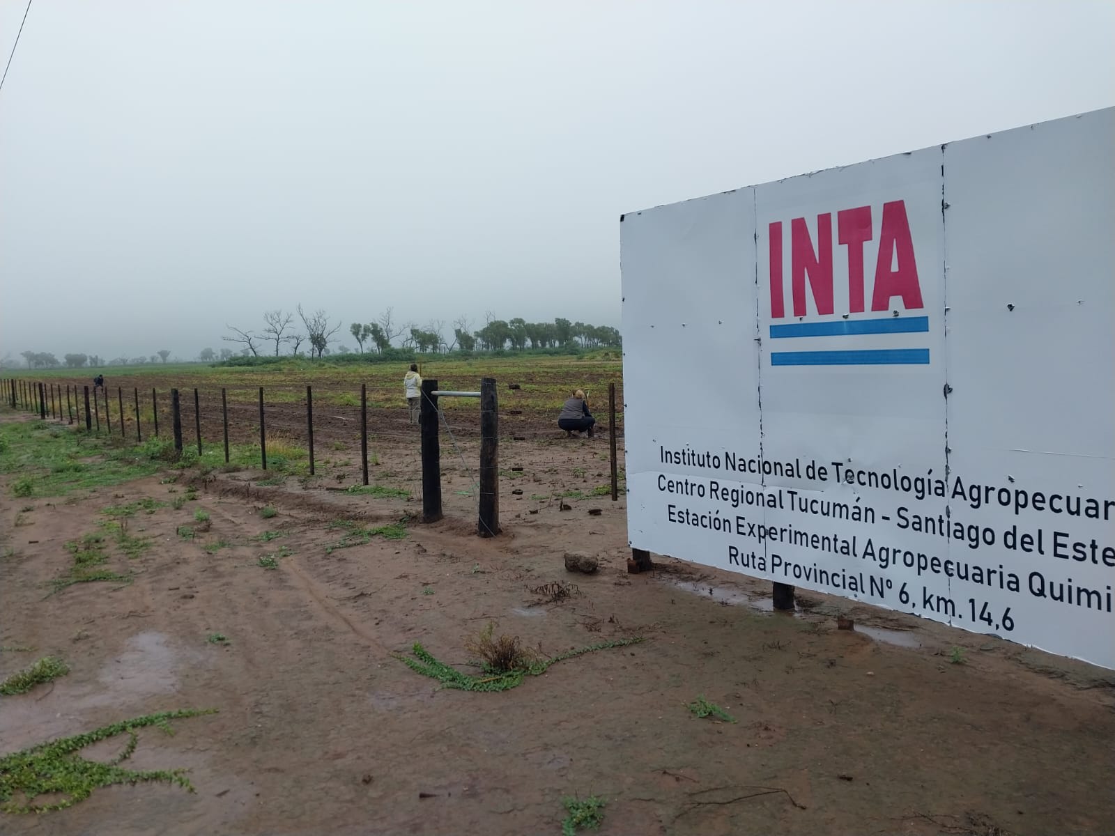 El Gobierno busca consenso con la Mesa de Enlace para modificar el INTA mientras Tucumán advierte por el cierre de unidades y venta de tierras